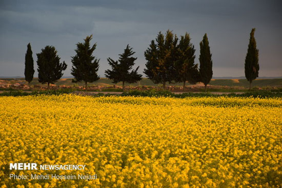 طبیعت زیبای دشت مغان پارس‌آباد