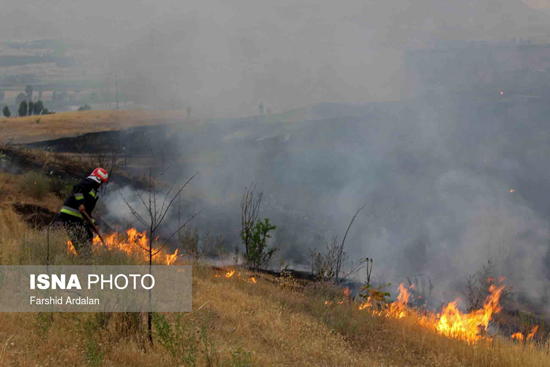 عکس: مراتع در سنندج‎ در آتش سوخت