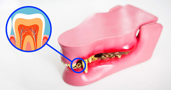 دانشمندان راهی برای رشد مجدد دندان‌ها پیدا کرده‌اند