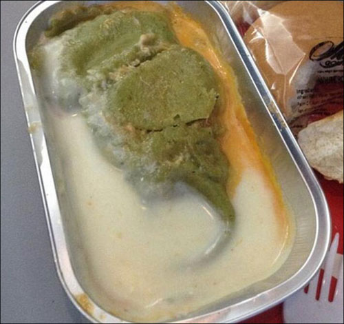 عجیب ترین غذاهای هواپیما ها! +عکس