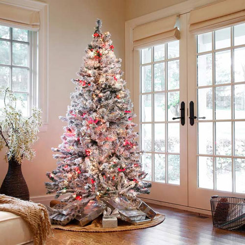 عکس:  زیباترین درختان کریسمس امسال