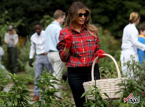 باغبانی بانوی اول آمریکا در کاخ سفید