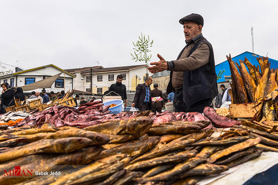 جمعه بازار محلی تولمشهر صومعه سرا
