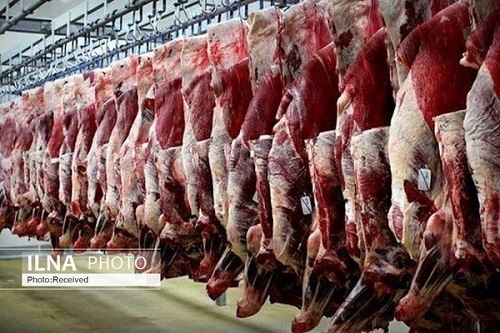 افزایش ۴۰ درصدی گوشت قرمز نسبت به سال گذشته