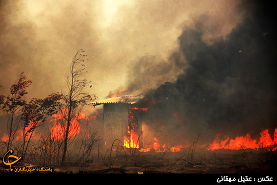 عکس: سوگلی خزر در آتش سوخت