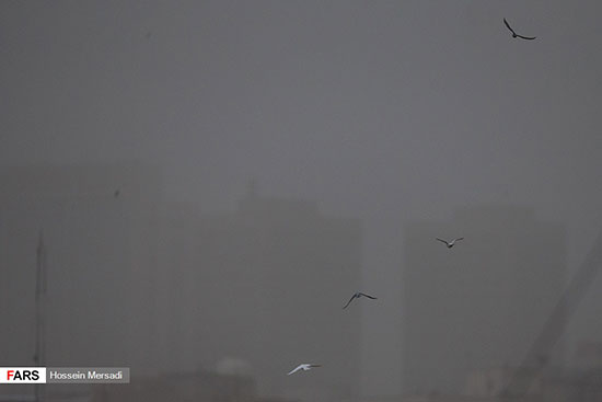 توفان، تهران را در نوردید؛ اسامی مصدومان