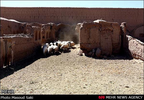 قلعه‌ تاریخی ایرانی، طویله شد... +عکس