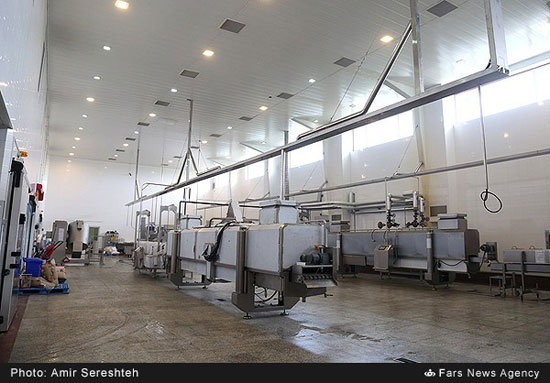 عکس: کارگاه تولید خمیرِ مرغ