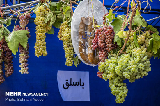 جشنواره انگور روستای هزاوه اراک