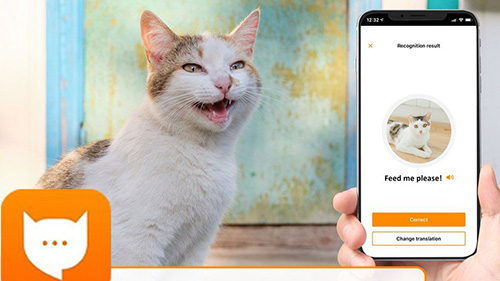 با «MeowTalk» صدای گربه‌ها را ترجمه کنید