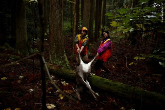 زنان شکارچی در ژاپن