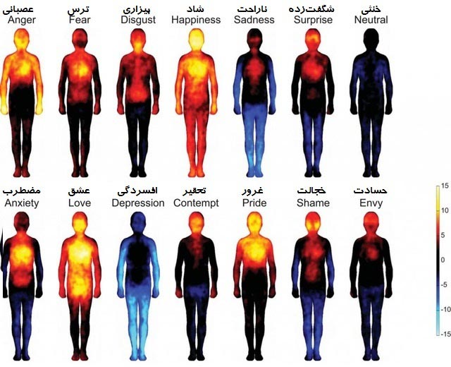 نقشه احساسات انسانی روی بدن +عکس