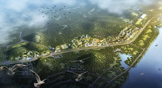 شهر جنگلی چین؛ راه‌کار چشم بادامی‌ها برای آلودگی هوا