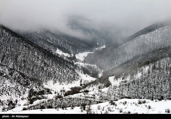 عکس: زیبایی طبیعت زمستانی کلیبر