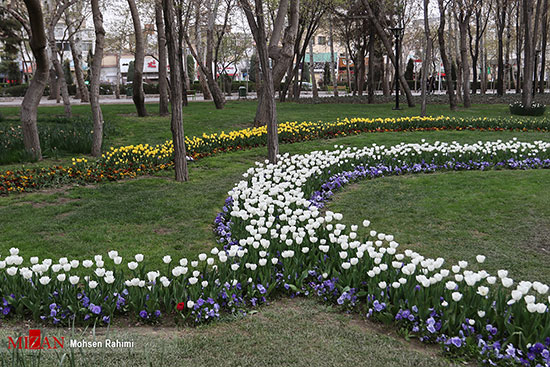 جشنواره گل‌های بهاری در کرج و مشهد