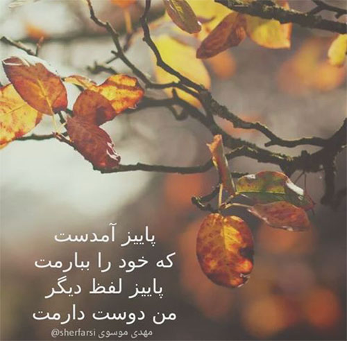 مینی شعر (180)