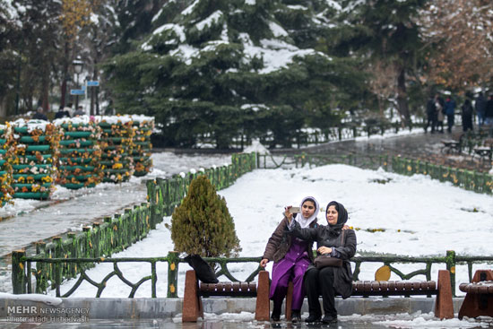 عکس: برف و سرما در تهران