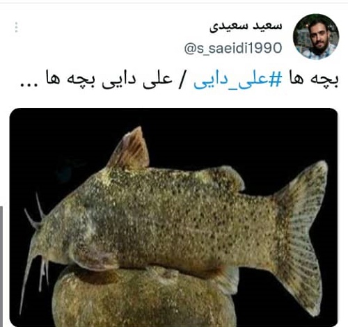 «ماهیِ علی دایی» سوژه داغ فضای مجازی شد