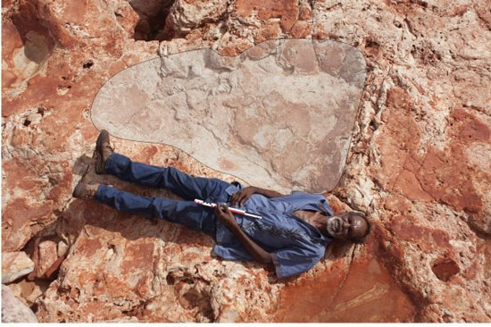 بزرگترین رد پای یک دایناسور کشف شد