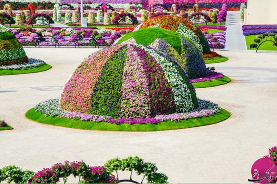 پارک «معجزه دبی» با 45 میلیون گل