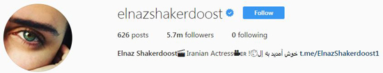 محبوب ترین سلبریتی های ایرانی در اینستاگرام