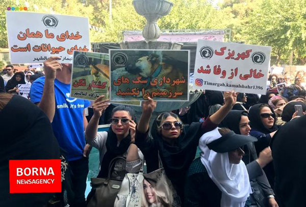 تجمع مقابل شهرداری تهران در اعتراض به سگ‌کشی