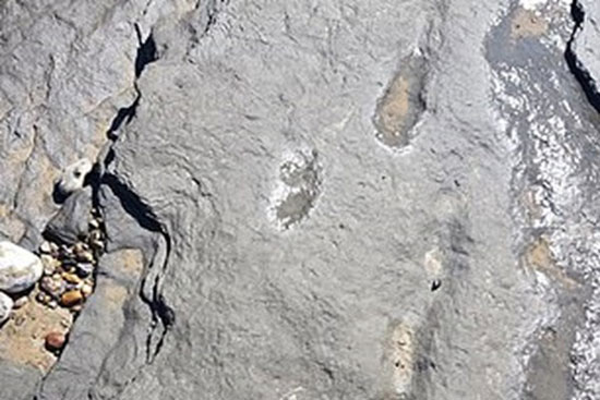 ردپای ۹۵۰هزار ساله انسان کشف شد