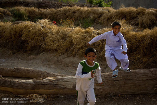 عکس: هم‌ خانه با فقر