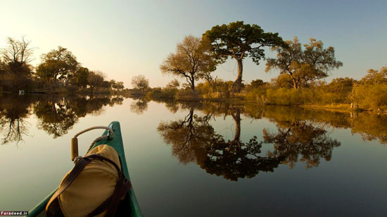 عکس: بهشت رویایی بوتسوانا