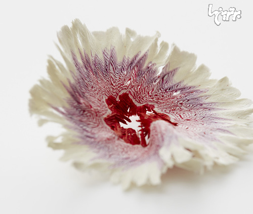 عکس: گل کاغذی با الهام از تراشه مداد