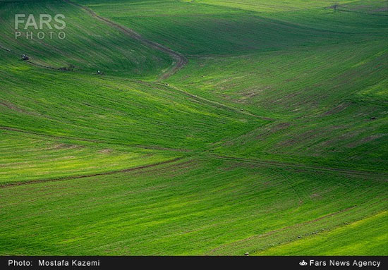 عکس: طبیعت بهاری دریاچه چورِت