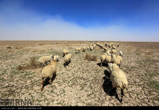 تصاویری از بکرترین طبیعت ایران