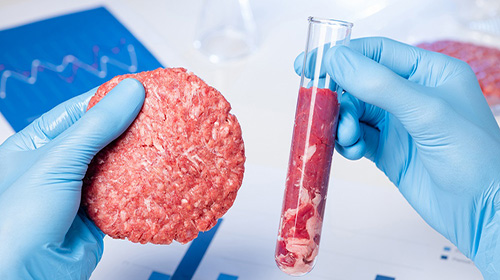 استارت‌آپ‌هایی که گوشت مصنوعی تولید می‌کنند