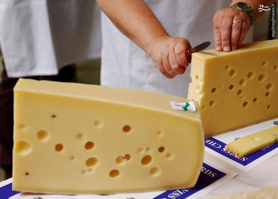 مسابقه خوشمزه‌ترین پنیر سال