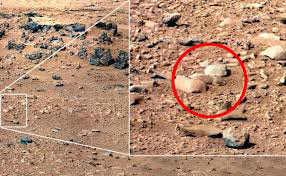 رصد یک موش صحرایی در مریخ! +عکس