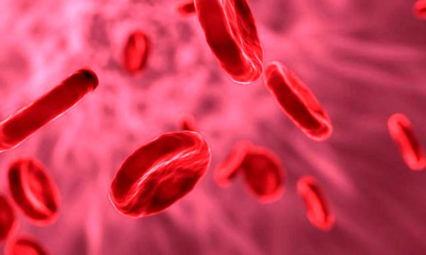تبدیل سلول‌های خون به «نورون»