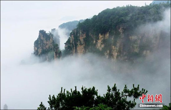 دریایی از ابر در پارک جنگلی 