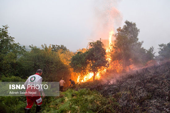 آتش‌سوزی در ارتفاعات روستای مریدان لنگرود