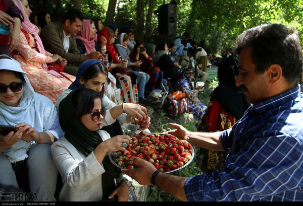 جشنواره توت فرنگی در «شیان»