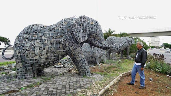 فیل های سنگی در آفریقا +عکس