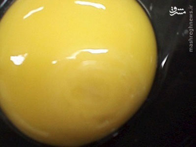 عکس: سیر تبدیل تخم‌مرغ به جوجه‌کباب!