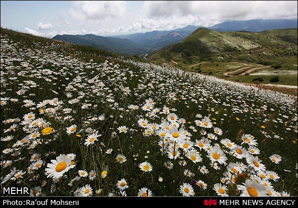 عکس؛ طبیعت دامنه های سبلان