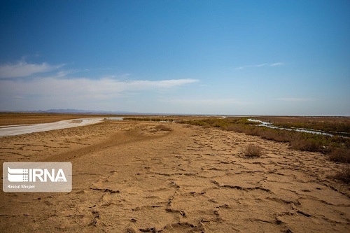 ۹۸درصد از تالاب بین‌المللی گاوخونی خشک شد