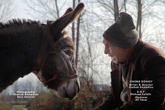 جایزه بهترین فیلم جشنواره اسپانیا برای «سینما خر»