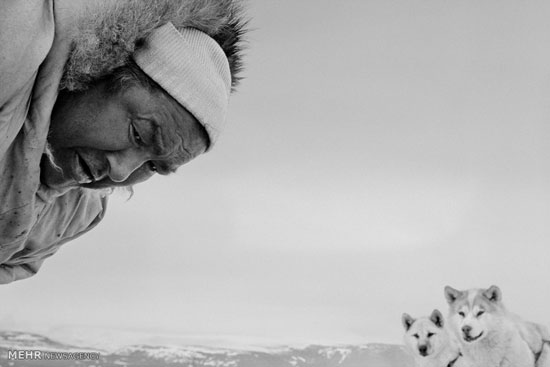 عکس: واپسین روزهای قطب شمال