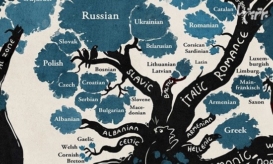 این درخت ارتباط زبان‌های مختلف را نشان می‌دهد