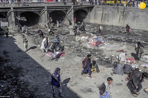 معتادان متجاهر در کابل