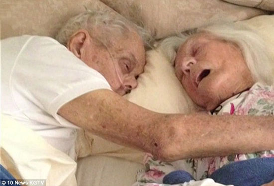 مرگ همزمان زوج عاشق و سالخورده +عکس