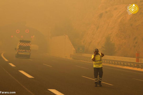 جنگل‌های یونان در آتش سوخت