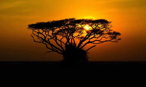 گردشگری: زیبایی های زندگی در کنیا